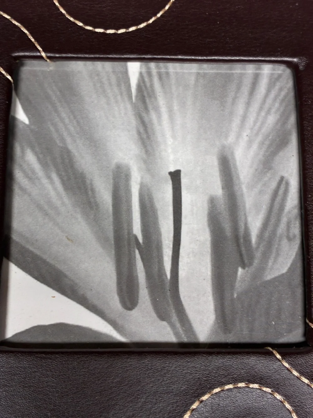 Brown Photo Album with Center Window